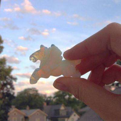 半岛彩票App下载